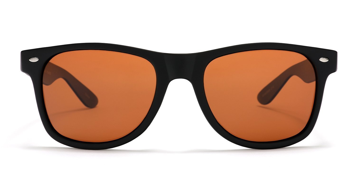 Polarized Modern Venice Horn Rimmed Sunglasses - Black Brown-Samba Shades