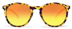Florence Round Horn Rimmed Sunglasses Yellow Brown-Samba Shades