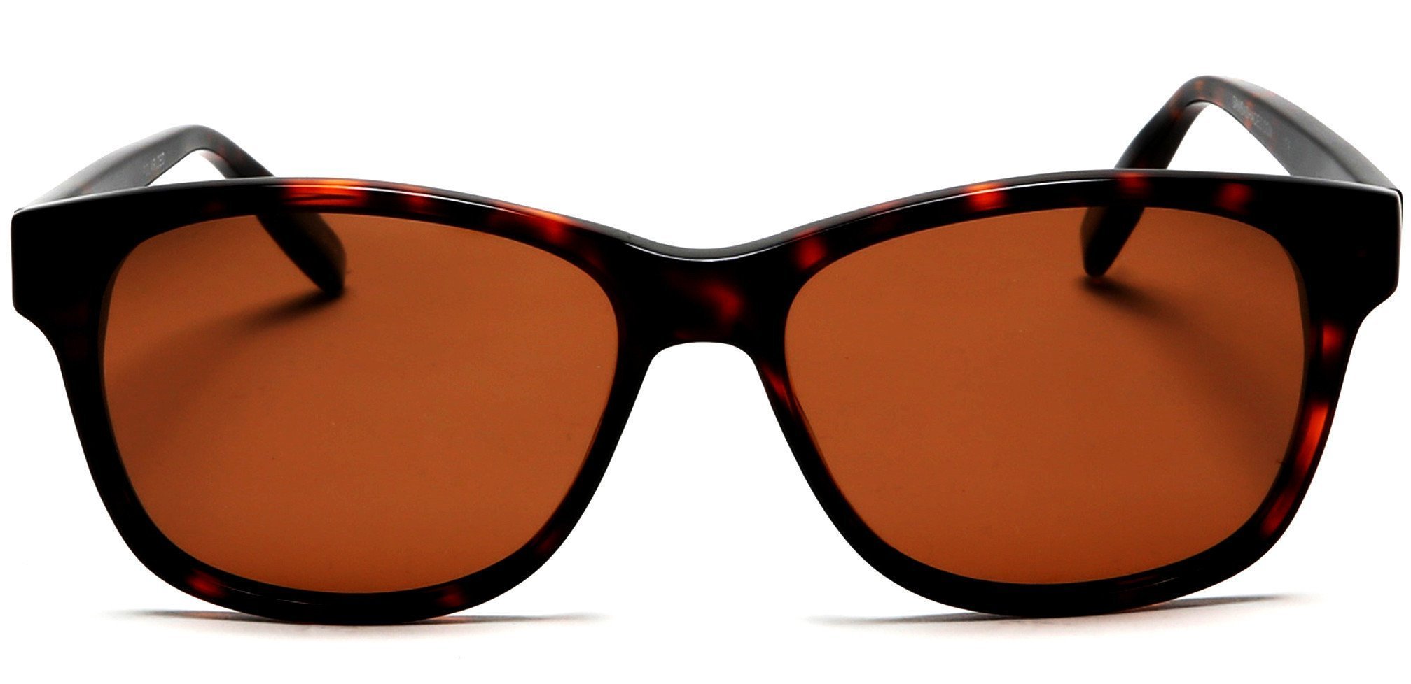 Fastrack UV Protected Wayfarer Unisex Sunglasses (P326BR2|56|Brown) -  OneStop Vision