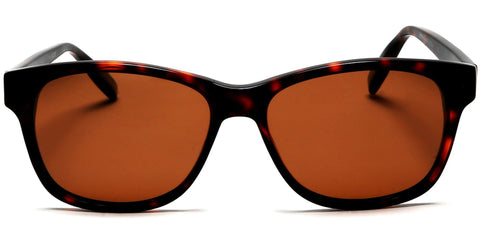 Polarized Horn Rimmed Inspired Paris to London Sunglasses Brown Red-Samba Shades