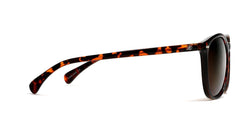 Polarized Round Verona Horn Rimmed Sunglasses - Brown Tortoise-Samba Shades